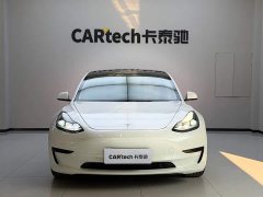 Tesla Model 3 Standard Range RWD Upgrade - ფოტო 2
