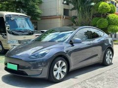 Tesla Model Y Standard Range RWD - ფოტო 1