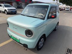 Geely Panda Mini 200km Endurance Edition - ფოტო 1