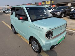 Geely Panda Mini 200km Endurance Edition - ფოტო 4