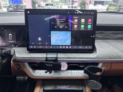 Tank 500 3.0T Business Edition Landscape Trim 5-Seater - ფოტო 9