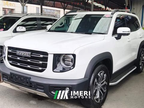 2023 Great Wall Dachshund 2022 1.5T DCT Two-Wheel Drive Border Collie Edition - ავტომობილი ჩინეთიდან