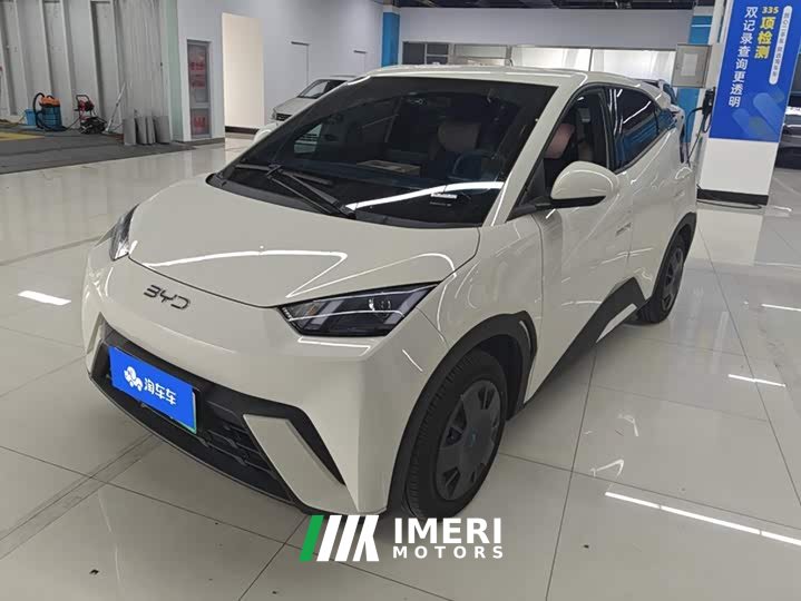 BYD Seagull 2025 305km Vitality Edition - ავტომობილი ჩინეთიდან