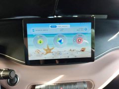 BYD Seagull 2025 305km Vitality Edition - ფოტო 13