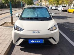 BYD Seagull 2025 305km Vitality Edition - ფოტო 2