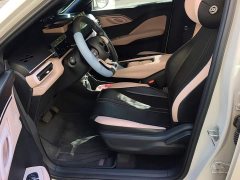 BYD Seagull 2025 305km Vitality Edition - ფოტო 9