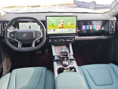 Jetour Jietu Liberator 2.0TD XWD Conquest - ფოტო 12