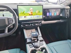 Jetour Jietu Liberator 2.0TD XWD Conquest - ფოტო 13