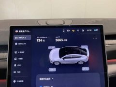 NIO EC6 75kWh - ფოტო 15