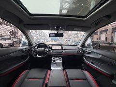 Chery Tiguan 5x Super Hero Edition 1.5T CVT Luxury - ფოტო 9