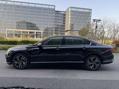 Volkswagen Magotan 330TSI DSG 30th Anniversary Edition - ფოტო 7
