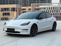 Tesla Model 3 Performance All-Wheel Drive - ფოტო 1