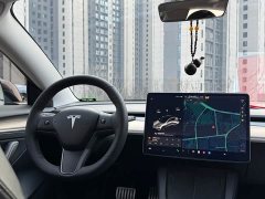 Tesla Model 3 Performance All-Wheel Drive - ფოტო 11