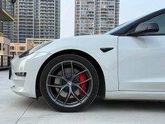 Tesla Model 3 Performance All-Wheel Drive - ფოტო 12