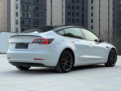 Tesla Model 3 Performance All-Wheel Drive - ფოტო 7