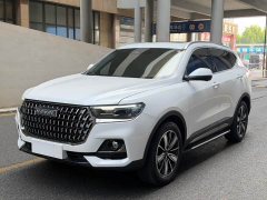 Haval H6 2023 National Trend Edition 1.5T Automatic Champion Version - ფოტო 1