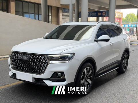 2024 Haval H6 National Trend Edition 1.5T Automatic Champion Version - ავტომობილი ჩინეთიდან