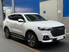 Haval H6 2023 National Trend Edition 1.5T Automatic Champion Version - ფოტო 3