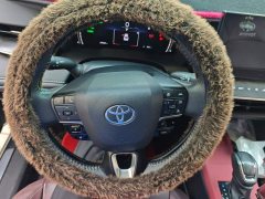 Toyota Camry Hybrid 2.0L HGVP Luxury - ფოტო 15