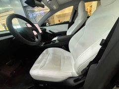 Tesla Model 3 Long Range All-Wheel Drive - ფოტო 11