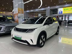 BYD Dolphin 420km Fashion Edition - ფოტო 1