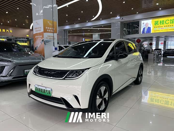 BYD Dolphin 420km Fashion Edition