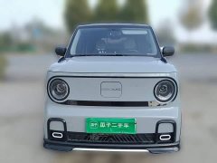 Geely Panda 210km Panda Kart - ფოტო 2