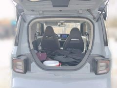 Geely Panda 210km Panda Kart - ფოტო 20