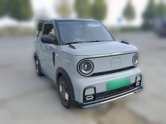 Geely Panda 210km Panda Kart - ფოტო 3
