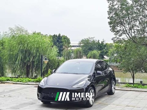 2021 Tesla Model Y Standard Range Edition - ავტომობილი ჩინეთიდან