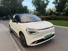 Dongfeng Nano 01 2024 330 Plus Smart - ფოტო 3