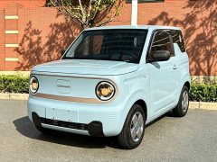 Geely Panda Mini 200km Endurance Edition - ფოტო 1