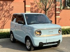 Geely Panda Mini 200km Endurance Edition - ფოტო 3