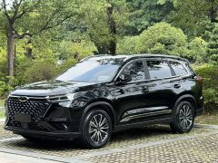 Chery Tiggo 8 PRO 2024 Champion Edition 290T FWD Peak Version 5-Seater - ფოტო 1