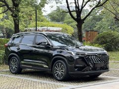 Chery Tiggo 8 PRO 2024 Champion Edition 290T FWD Peak Version 5-Seater - ფოტო 2