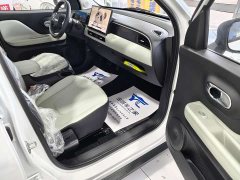 Chery Kaiyue Shiyue Max 310km Ruyu Edition - ფოტო 14