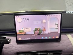 Dongfeng Nammi 01 430 Ultra - ფოტო 14