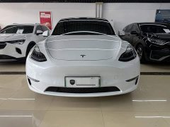 Tesla Model Y 2022 Long Range All-Wheel Drive - ფოტო 2