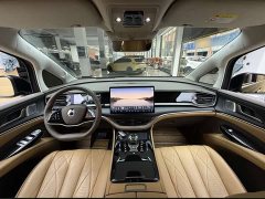 Denza BYD Denza D9 2022 EV 600 AWD Flagship - ფოტო 4