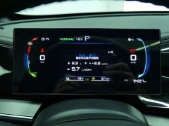 BYD Qin PLUS Champion Edition DM-i 55KM Exceed - ფოტო 14