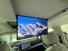 Voyah Avatr Dream Car PHEV AWD Flagship Qiankun Edition - ფოტო 18