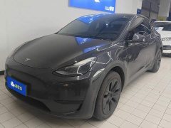Tesla Model Y Rear-Wheel Drive - ფოტო 1
