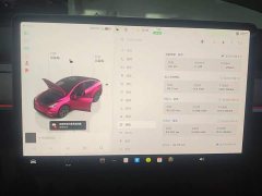 Tesla Model Y Rear-Wheel Drive - ფოტო 14