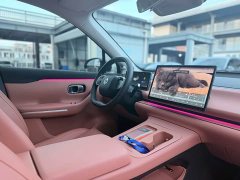 Leapmotor C10 530 Smart Comfort Edition - ფოტო 13