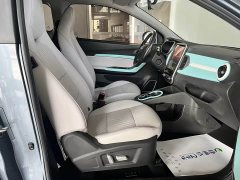 Chery Ant 20 Wan Ant Fan Yuan Qi Edition Ternary Lithium 301km - ფოტო 20