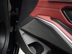 BMW 3 Series 330Li M Sport Night Edition Package - ფოტო 13