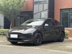 Tesla Model Y Rear-Wheel Drive - ფოტო 1