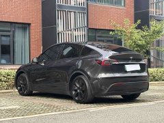 Tesla Model Y Rear-Wheel Drive - ფოტო 7