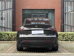 Tesla Model Y Rear-Wheel Drive - ფოტო 8