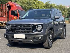 Great Wall Dachshund 2024 1.5T DCT Border Collie Edition - ფოტო 1